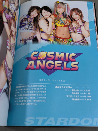 STARDOM FANBOOK