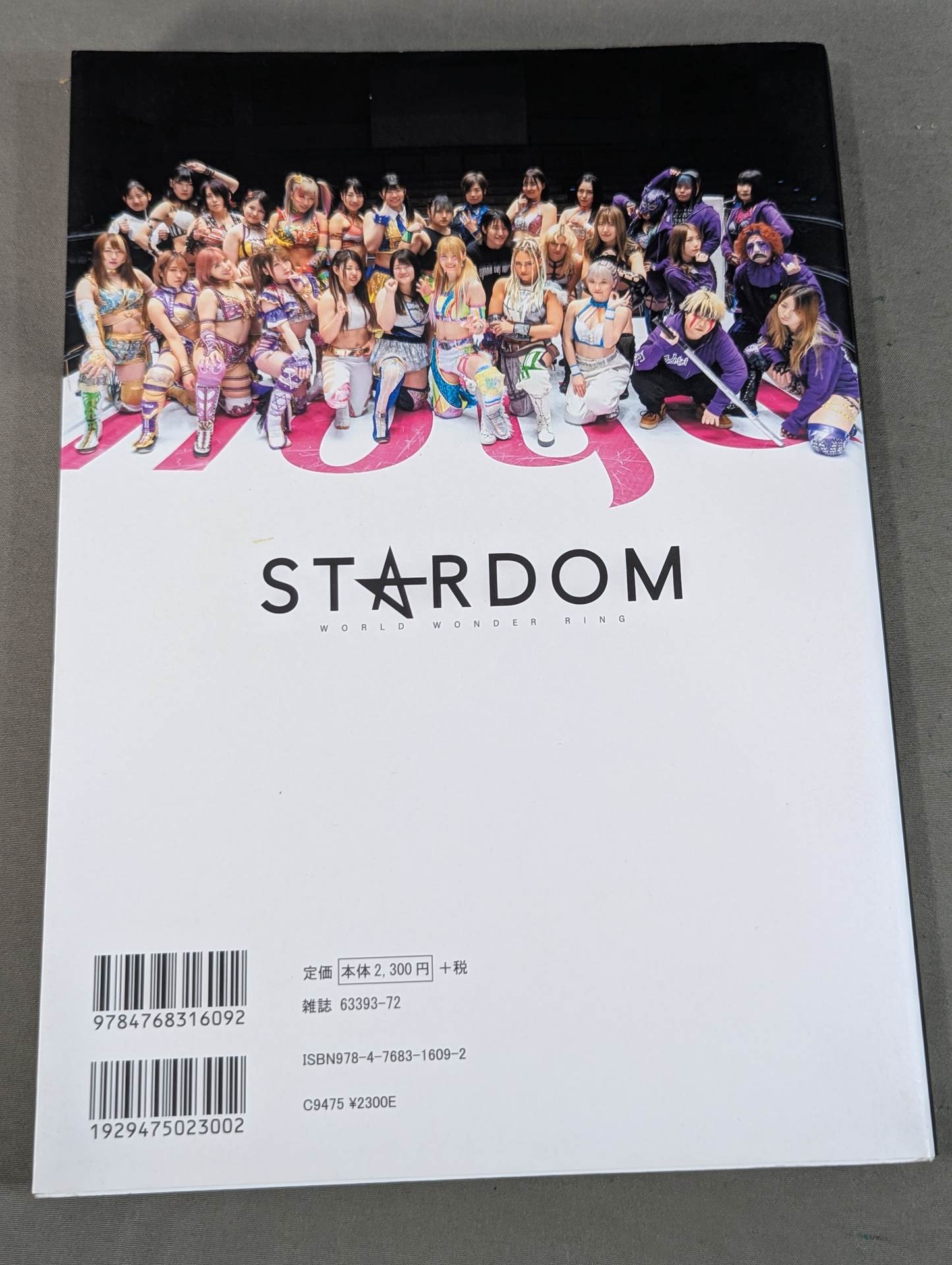STARDOM FANBOOK