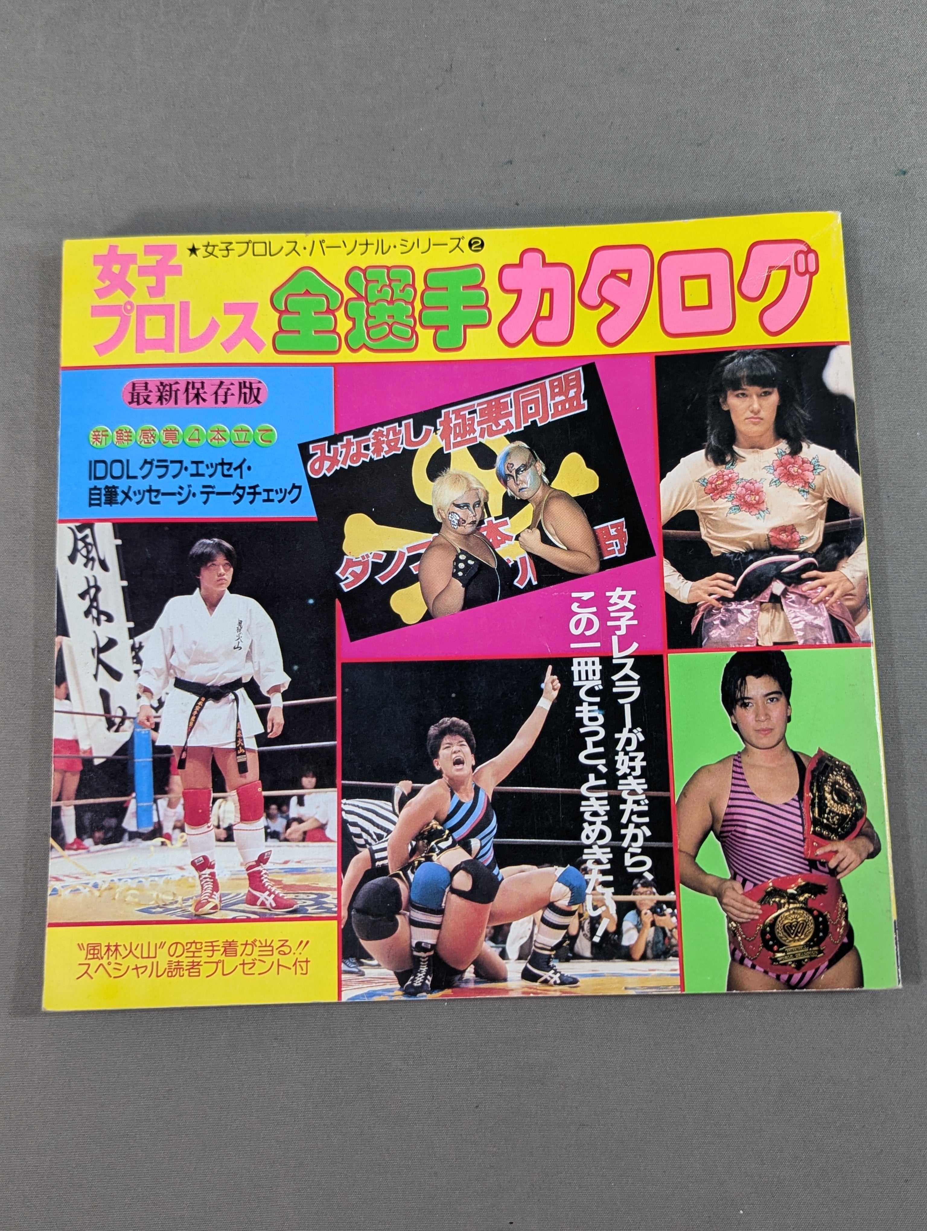 女子プロレス全選手カタログ 女子プロレス・パーソナル・シリーズ②