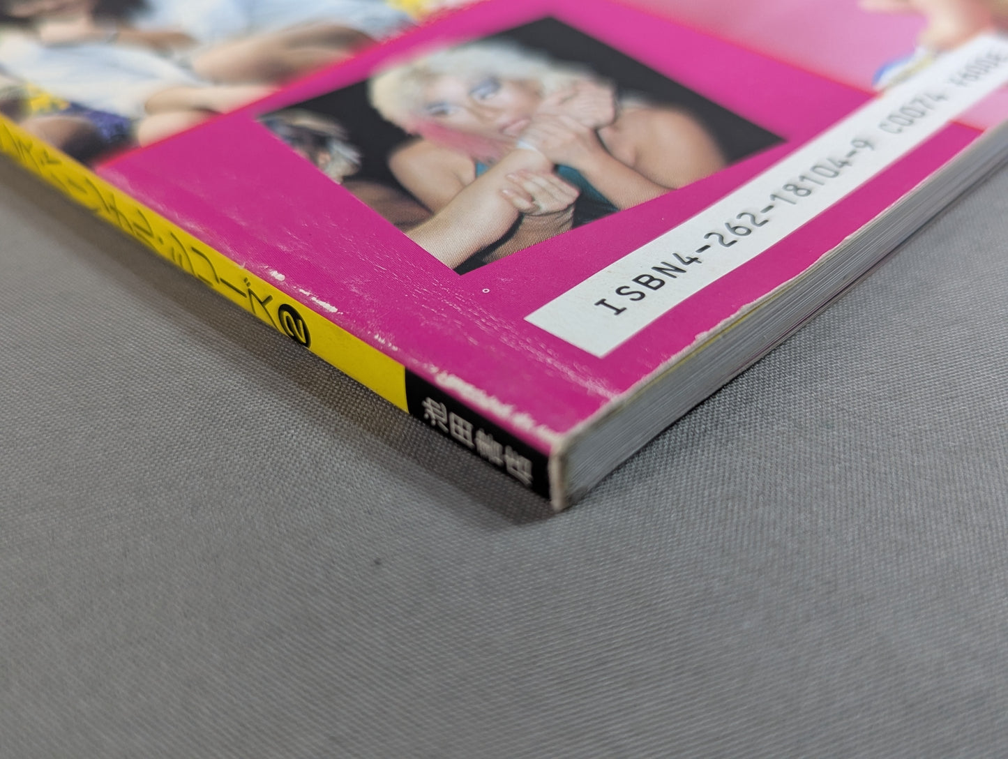 Women's Pro Wrestling Complete Fighters Catalog ★ Women Pro Wrestling  Personal Series(2)