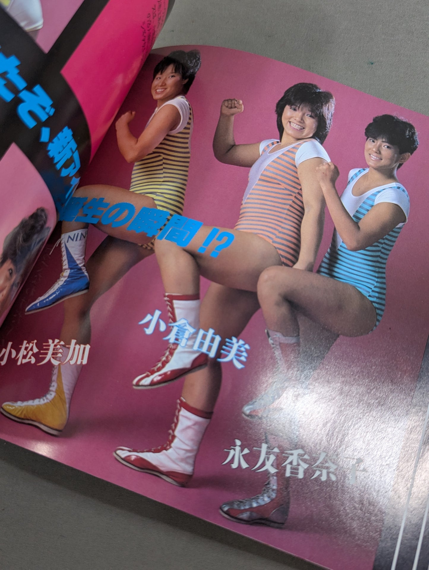 Women's Pro Wrestling Complete Fighters Catalog ★ Women Pro Wrestling  Personal Series(2)