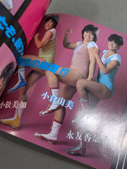 Women's Pro Wrestling Complete Fighters Catalog ★ Women Pro Wrestling  Personal Series(2)