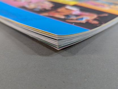 Women's Pro Wrestling Complete Fighters Catalog ★ Women Pro Wrestling  Personal Series(2)