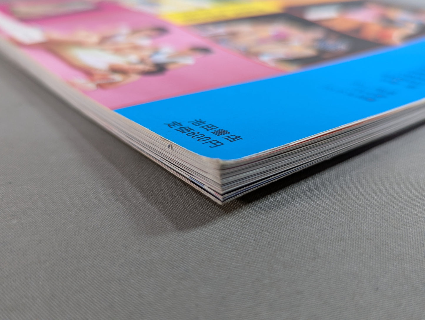 Women's Pro Wrestling Complete Fighters Catalog ★ Women Pro Wrestling  Personal Series(2)