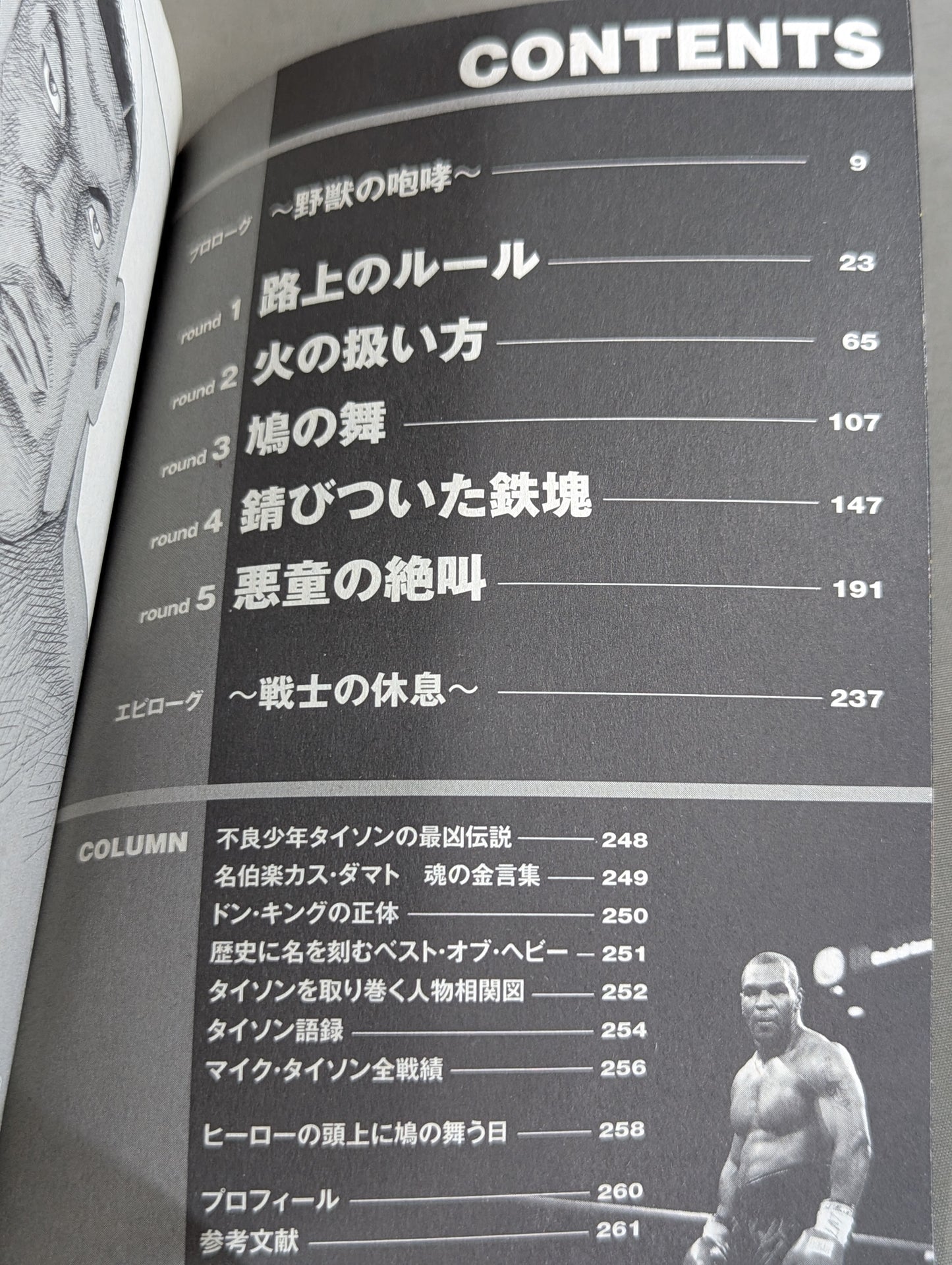 実録 ボクシング世界王者 マイク・タイソン物語