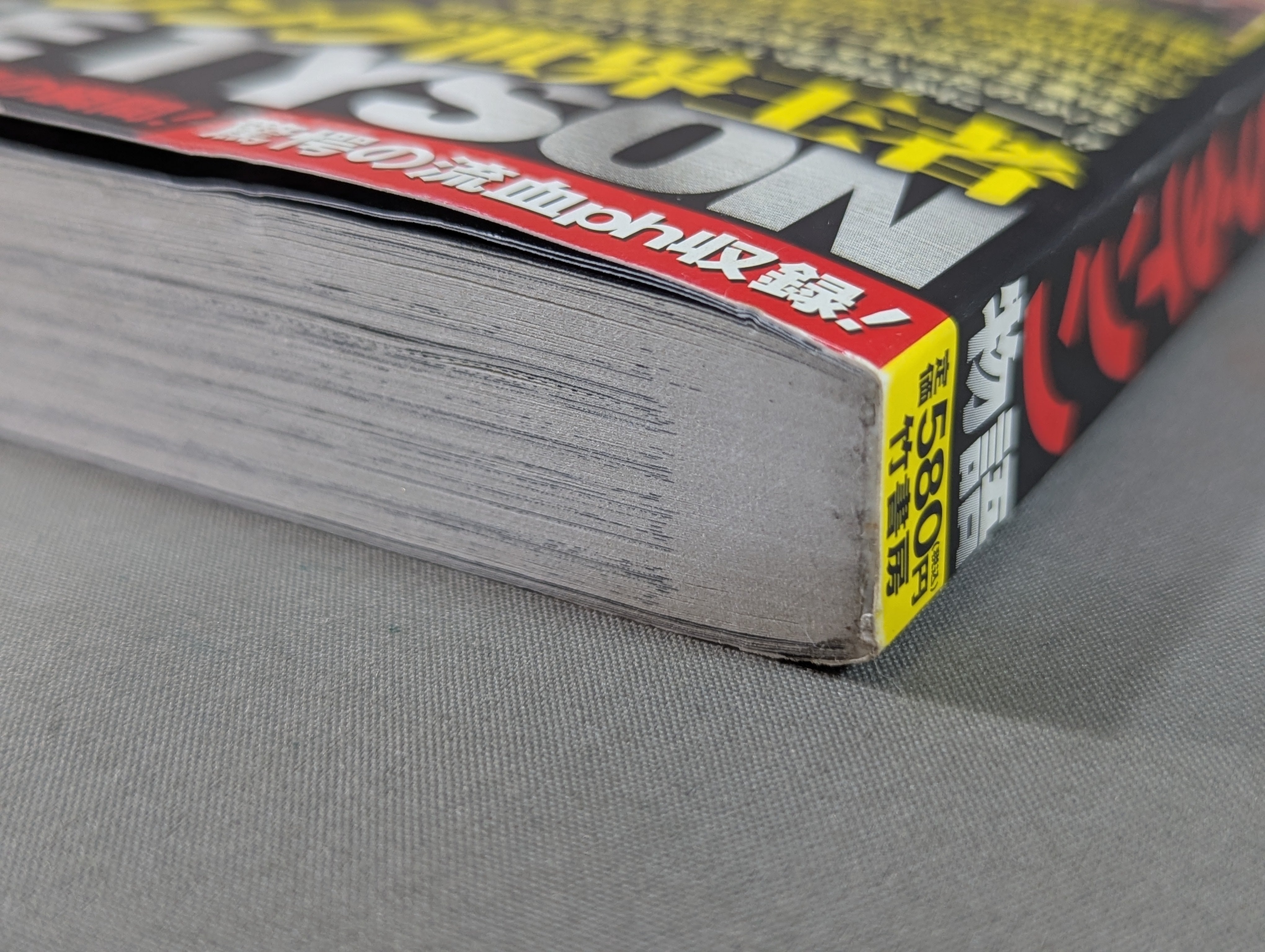 実録 ボクシング世界王者 マイク・タイソン物語 – 闘道館