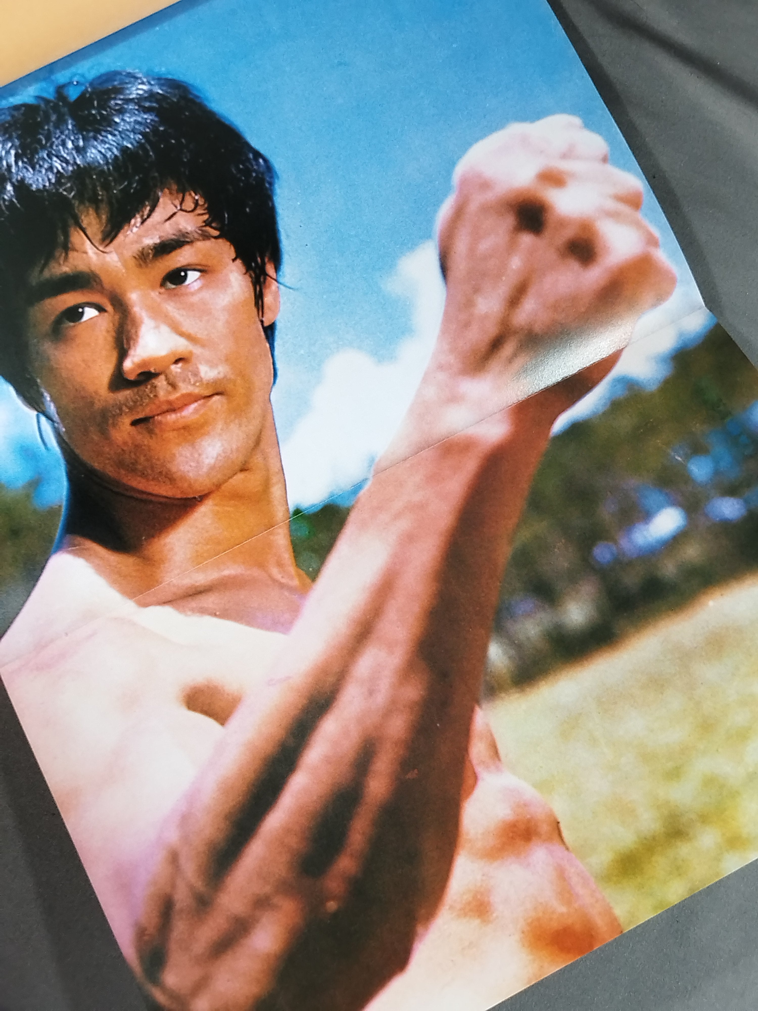 闘魂ブルース・リー 闘魂ブルース・リー(日野康一 責任編集) / 古本、中古本、古書籍