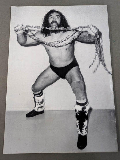 ★イベント記念メモリアルブック★ BRUISER BRODY MEMORIAL BOOK