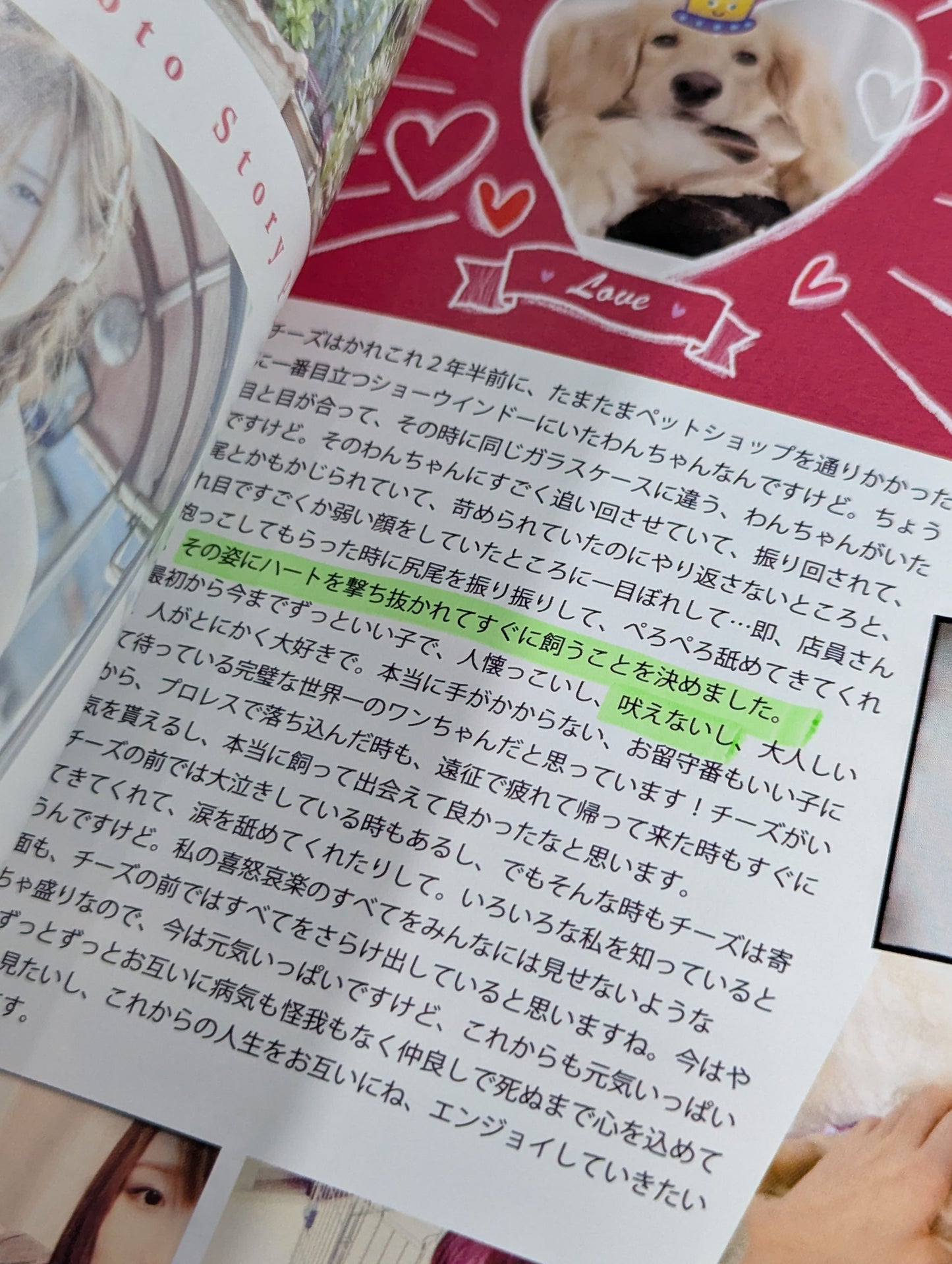 宝城カイリ PHOTO BOOK TREASURE LAND