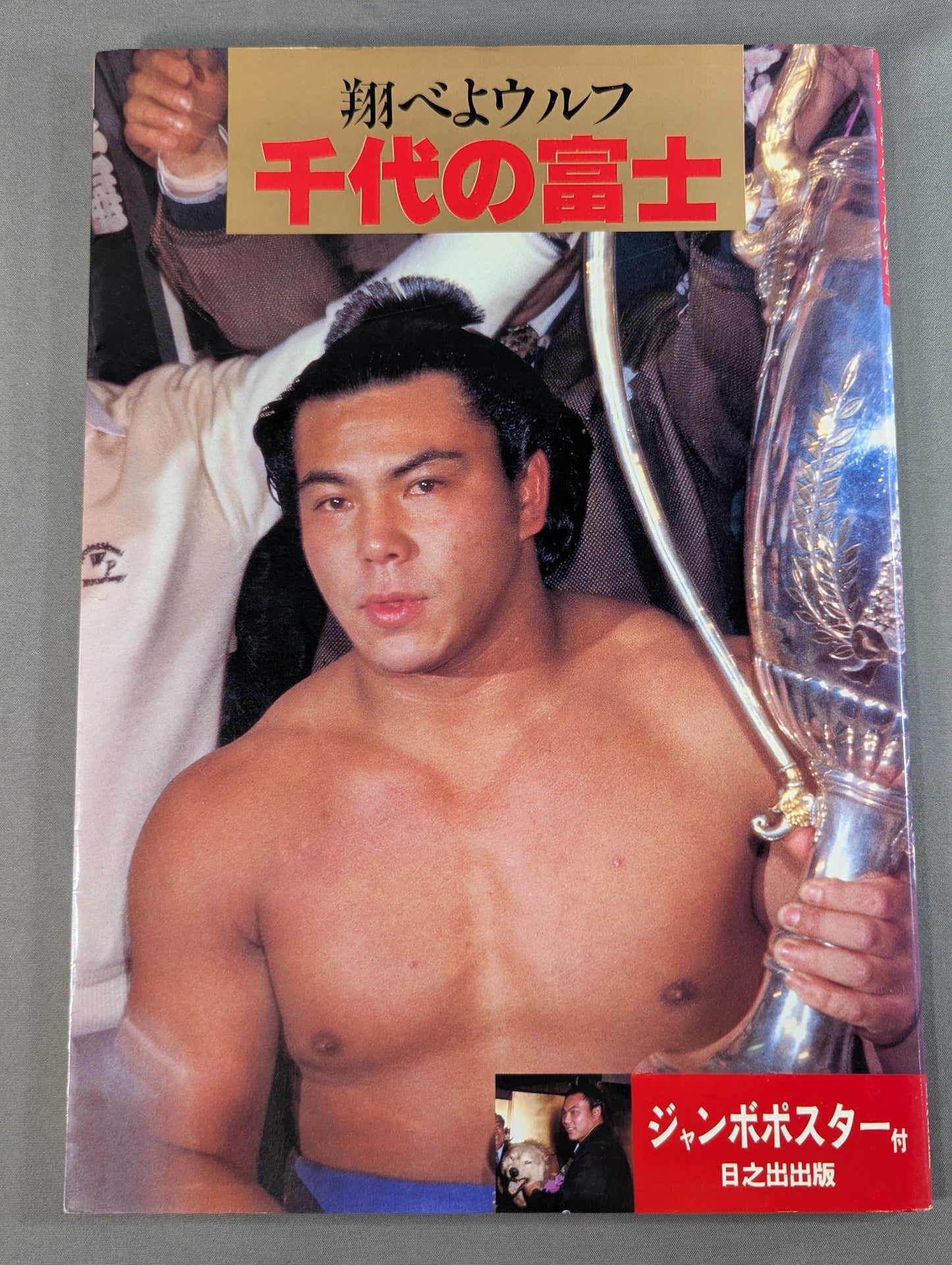 翔べよウルフ 千代の富士