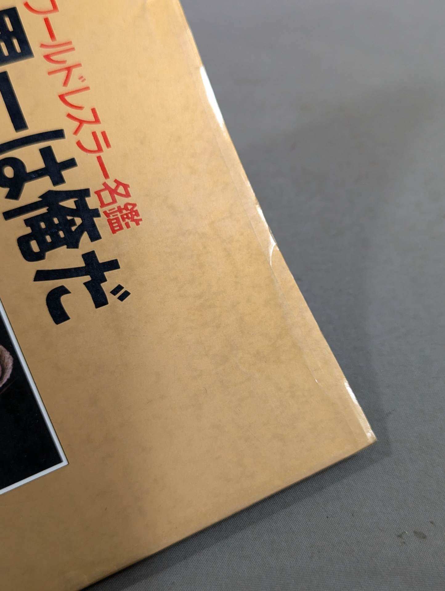世界一は俺だ  ワールドレスラー名鑑