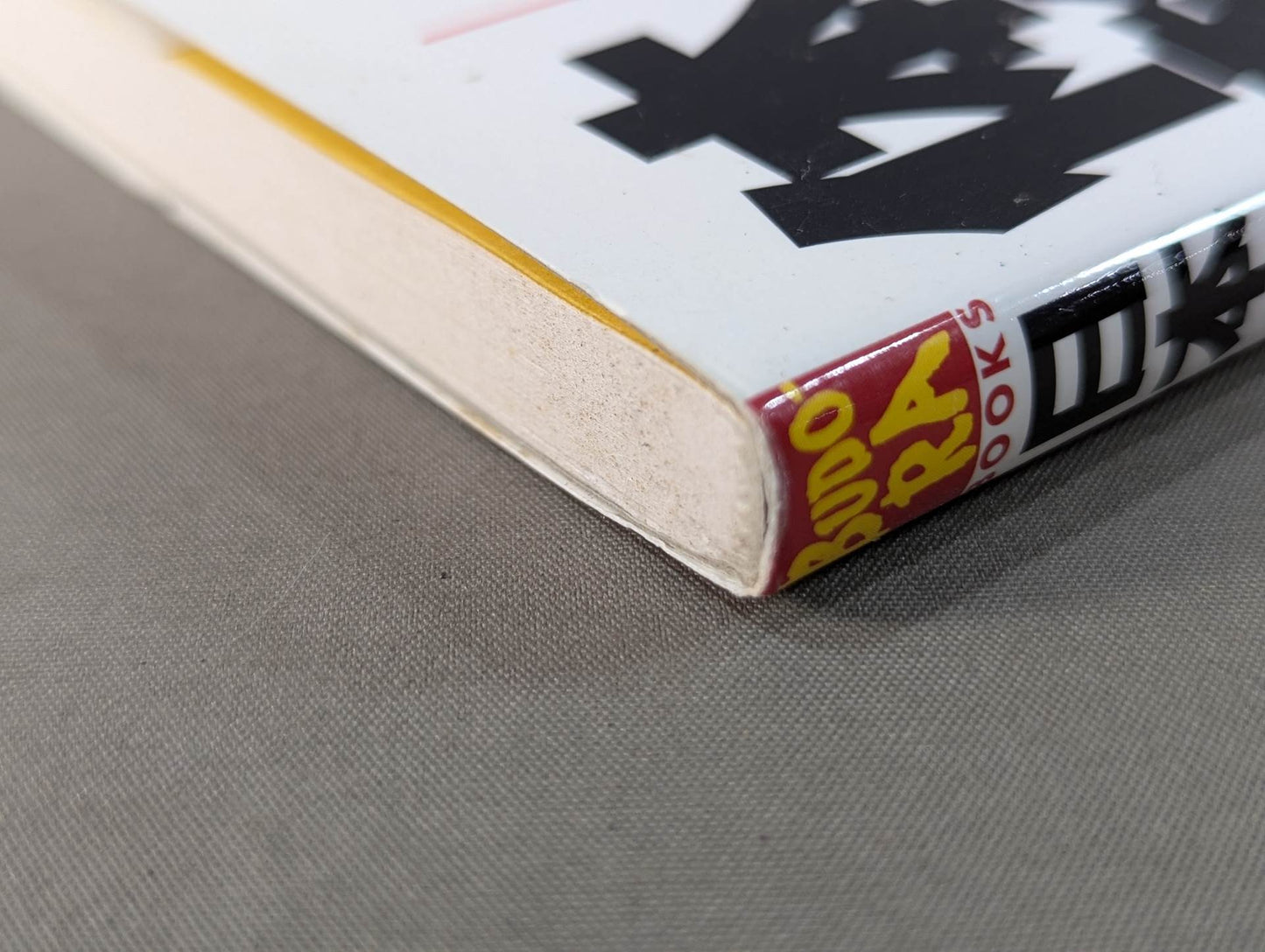 【DVD付】日本人が知らない体幹の使い方