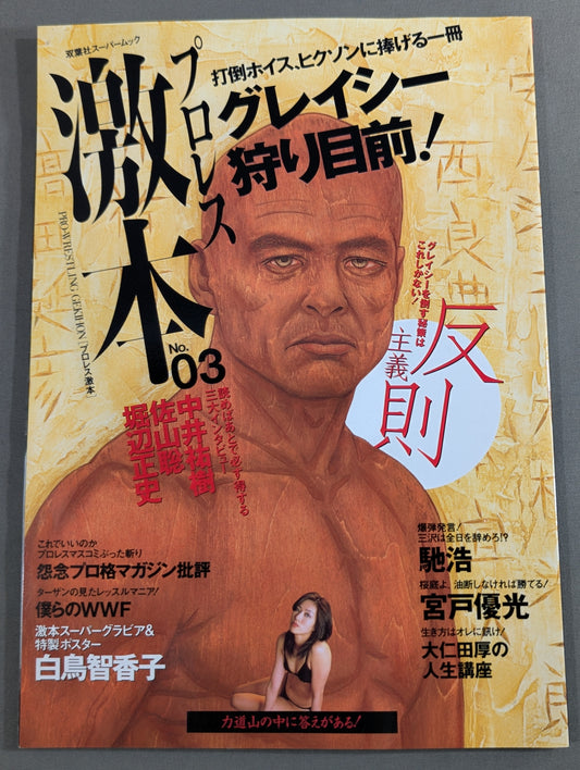 プロレス激本 No.3