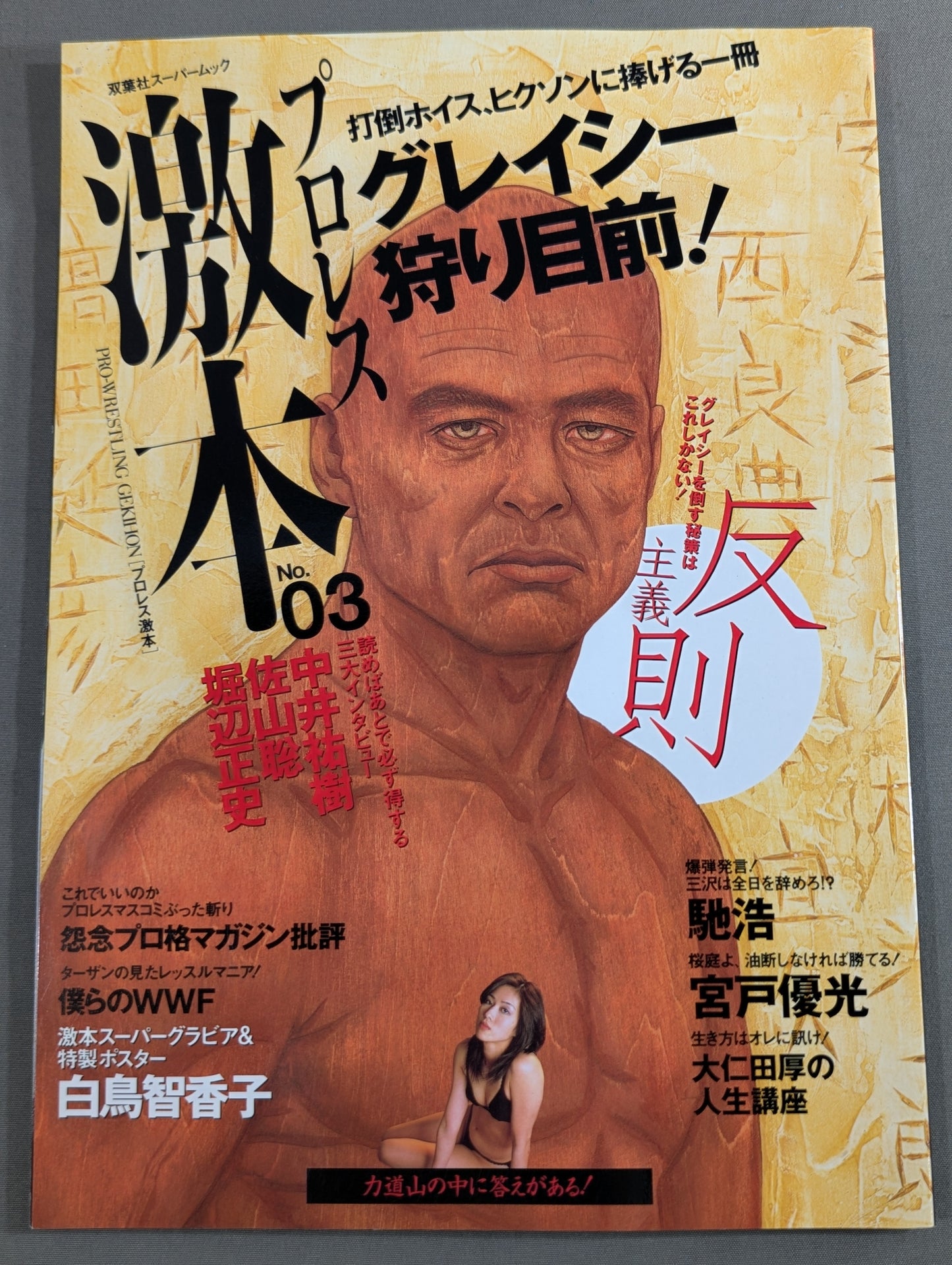 Pro Wrestling  No.3