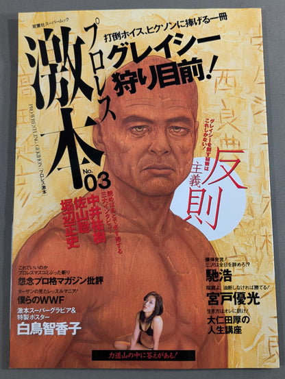 Pro Wrestling  No.3