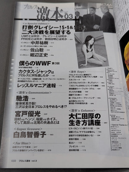 Pro Wrestling  No.3