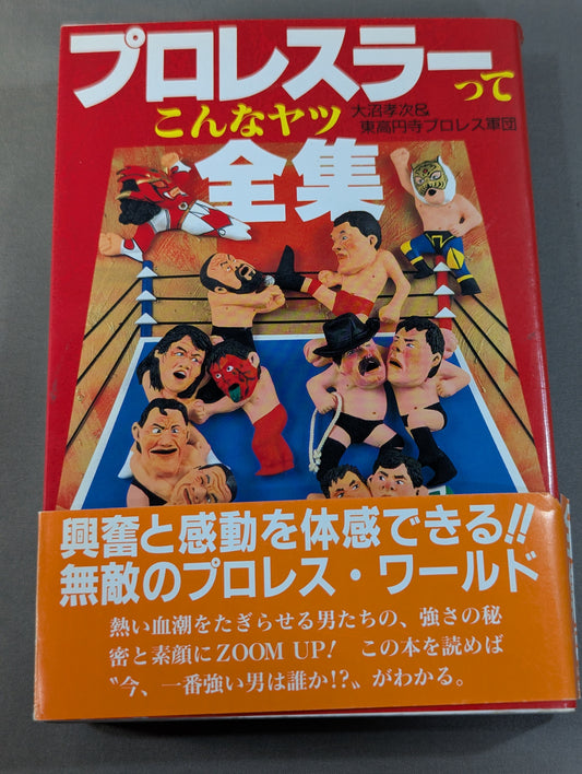 pro wrestler is a complete collection of guys like this