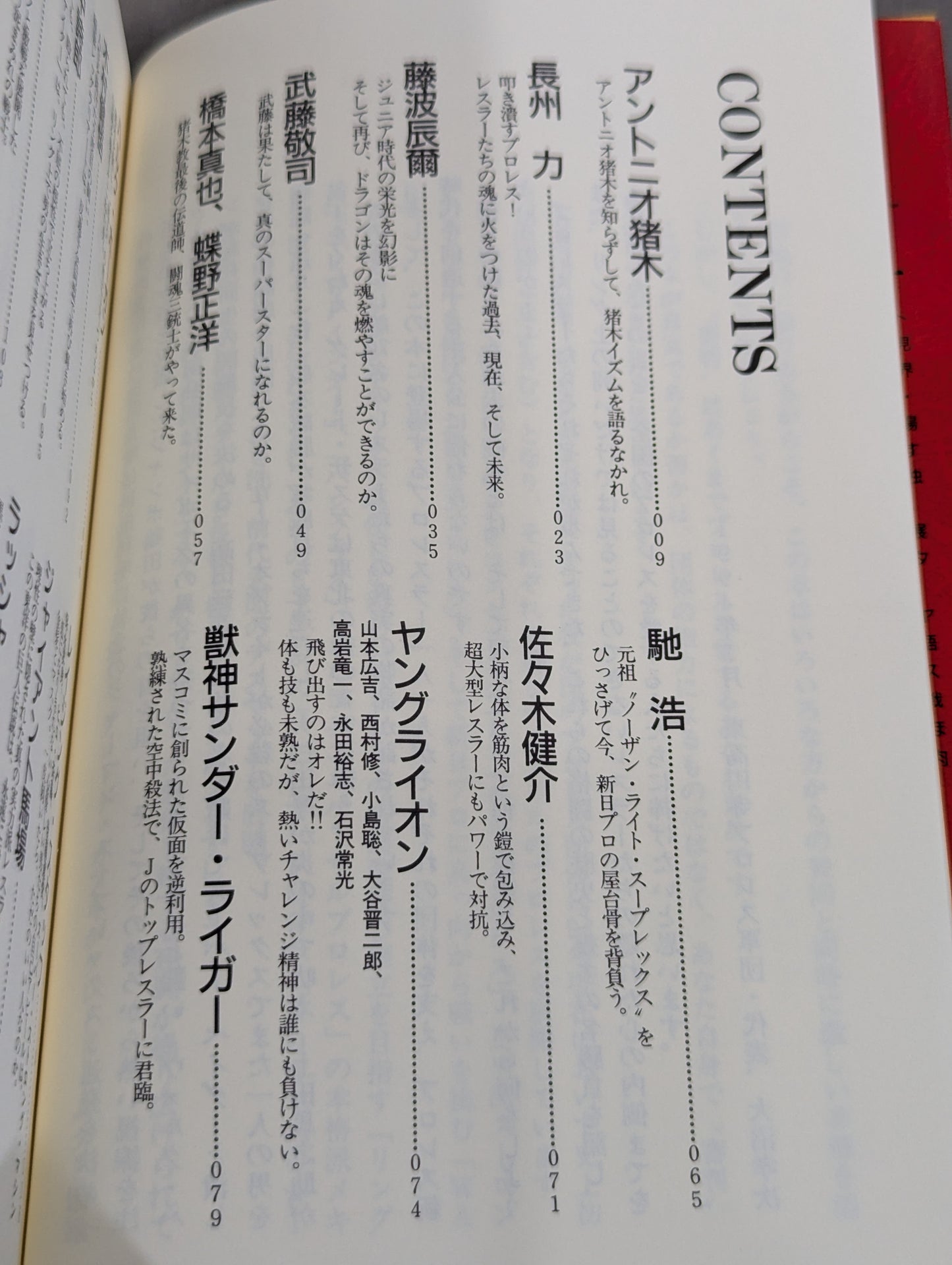 pro wrestler is a complete collection of guys like this