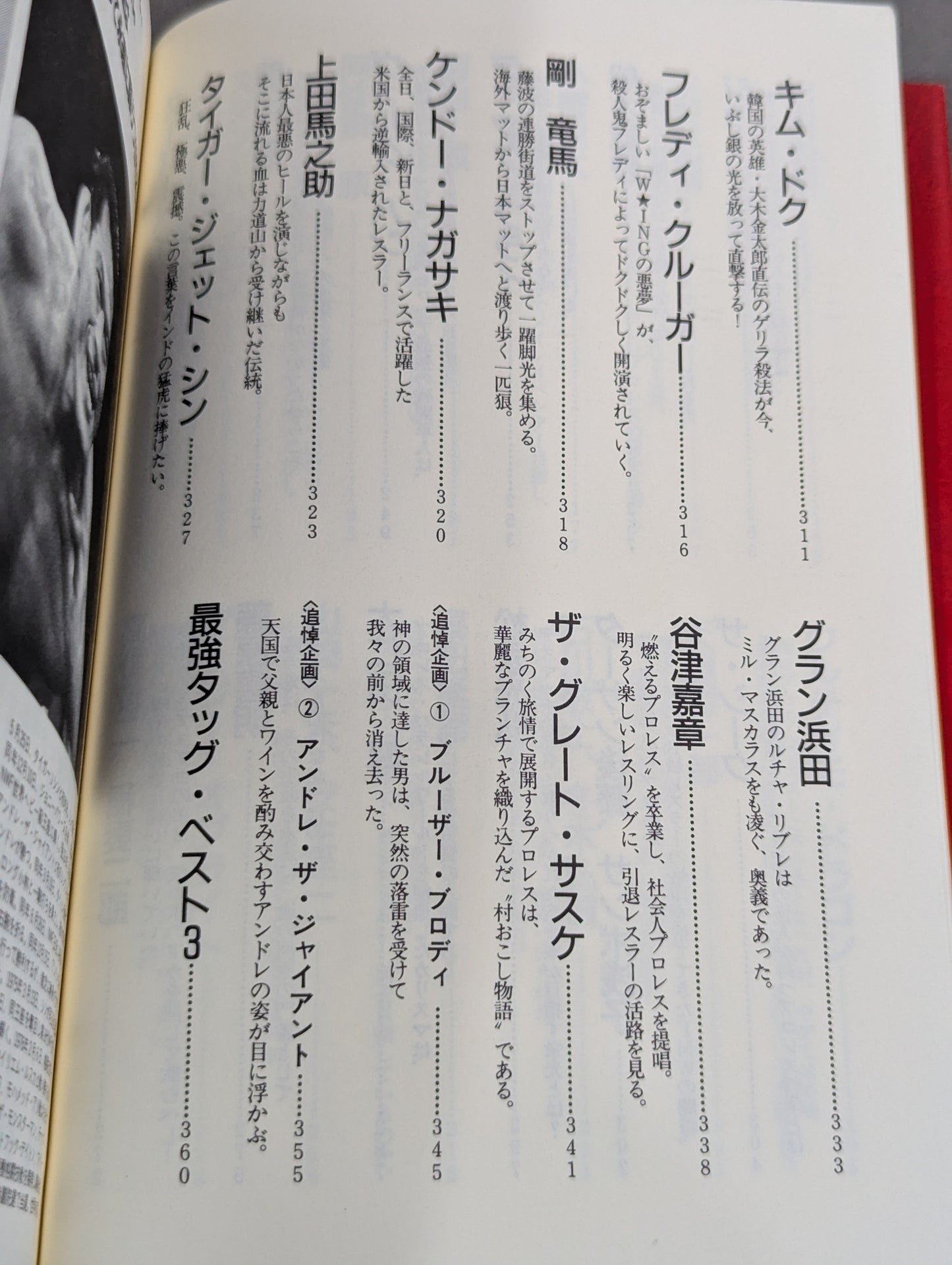 pro wrestler is a complete collection of guys like this