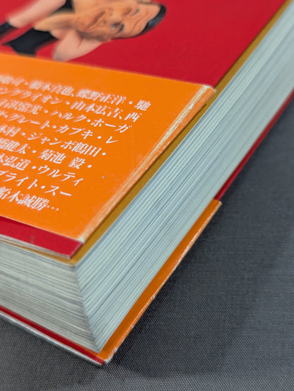 pro wrestler is a complete collection of guys like this