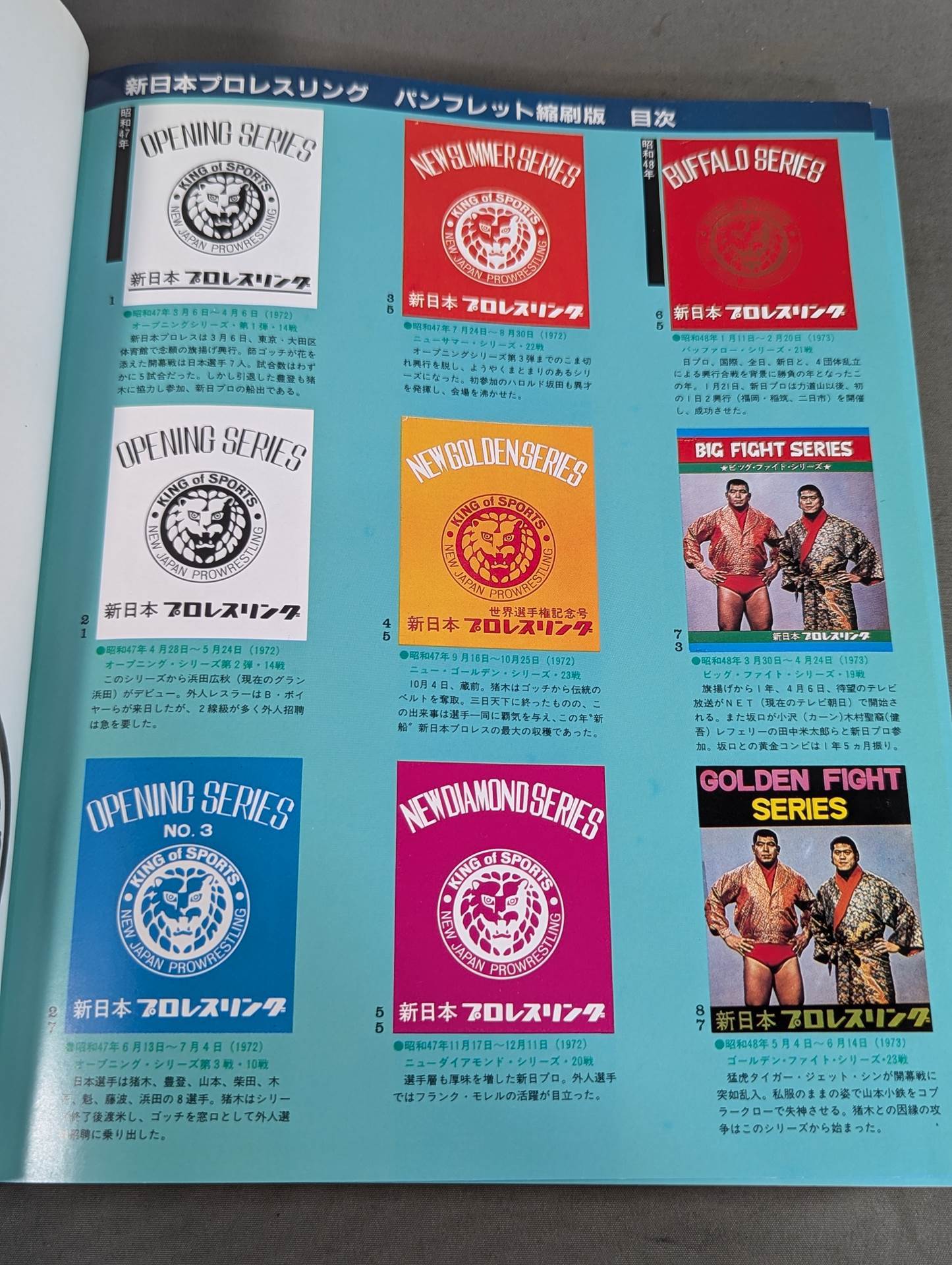 New Japan Pro Wrestling Pro-wrestling  Condensed version of the pamphlet Volume 1 [Permanent Preservation Version]