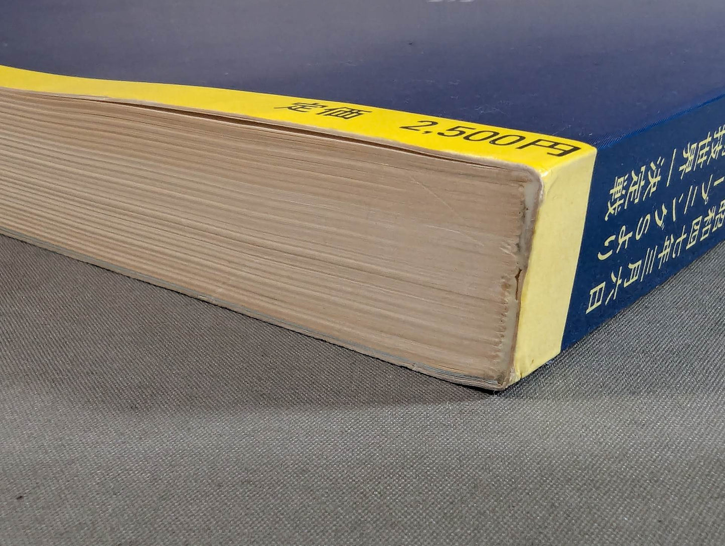 New Japan Pro Wrestling Pro-wrestling  Condensed version of the pamphlet Volume 1 [Permanent Preservation Version]