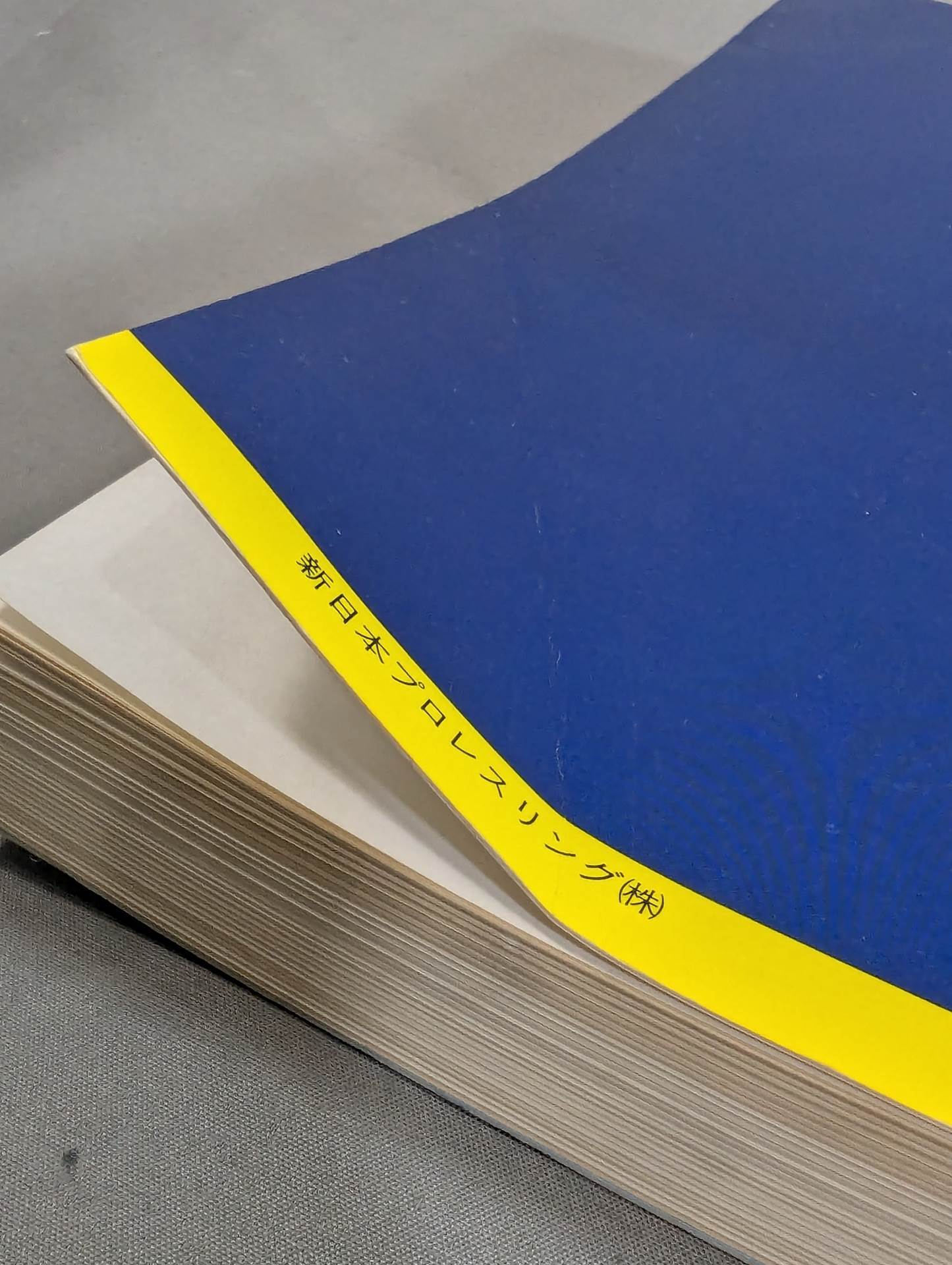 New Japan Pro Wrestling Pro-wrestling  Condensed version of the pamphlet Volume 1 [Permanent Preservation Version]
