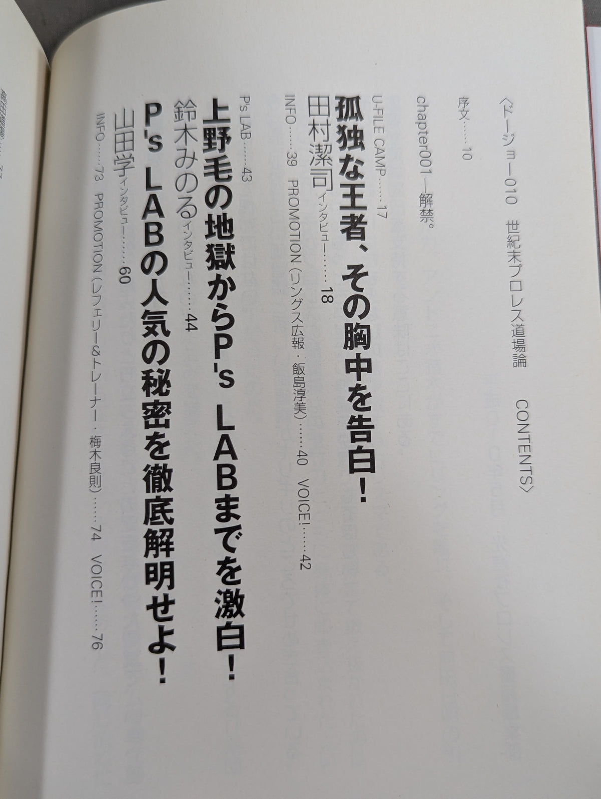 ドージョー010 世紀末プロレス道場論