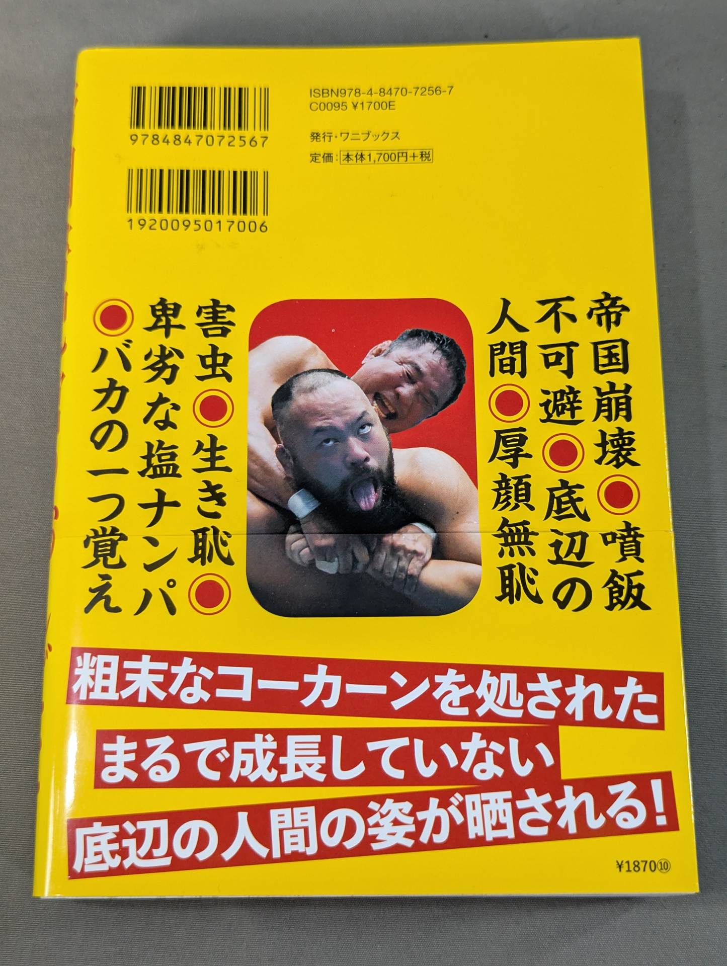 Imperial Scribe's Job