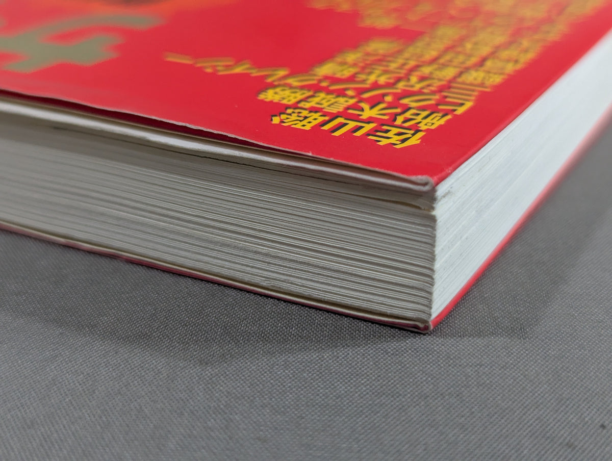 ザ・格闘家 最強を目指した戦士たちの素顔