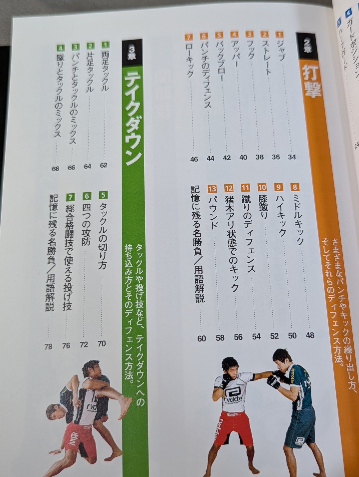 極め方のコツがわかる! 総合格闘技入門