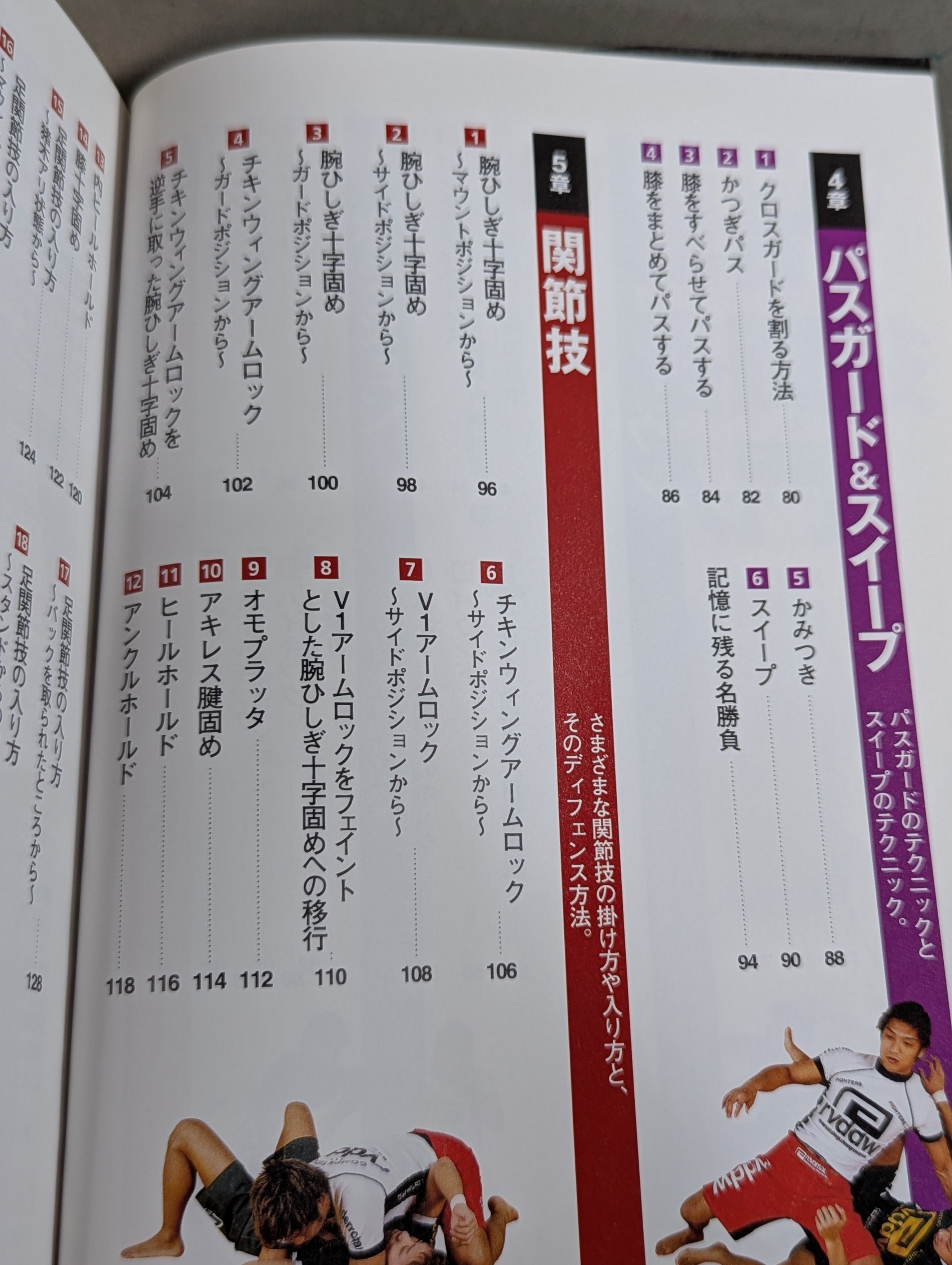 極め方のコツがわかる! 総合格闘技入門 – 闘道館