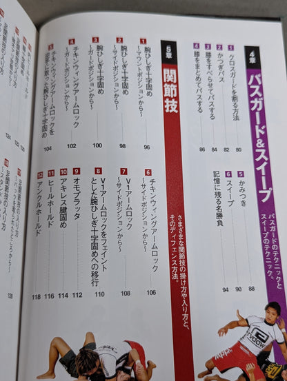 極め方のコツがわかる! 総合格闘技入門