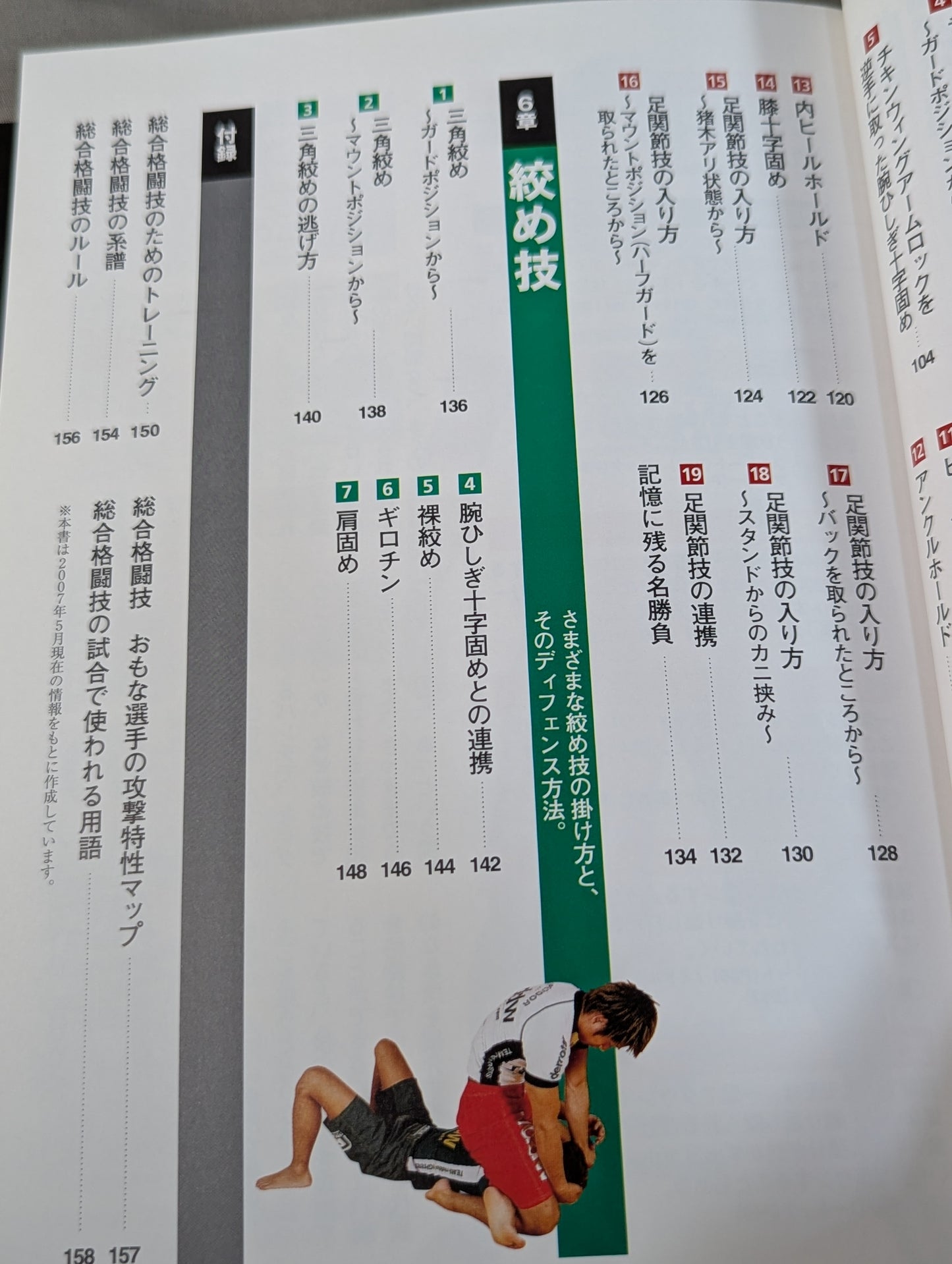 極め方のコツがわかる! 総合格闘技入門