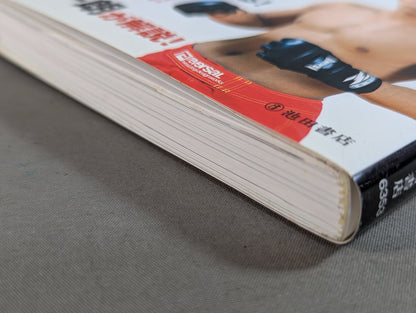 極め方のコツがわかる! 総合格闘技入門