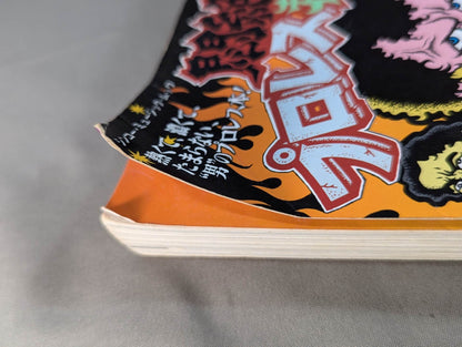 Agony! Pro Wrestling  Treasure Museum Vol.1