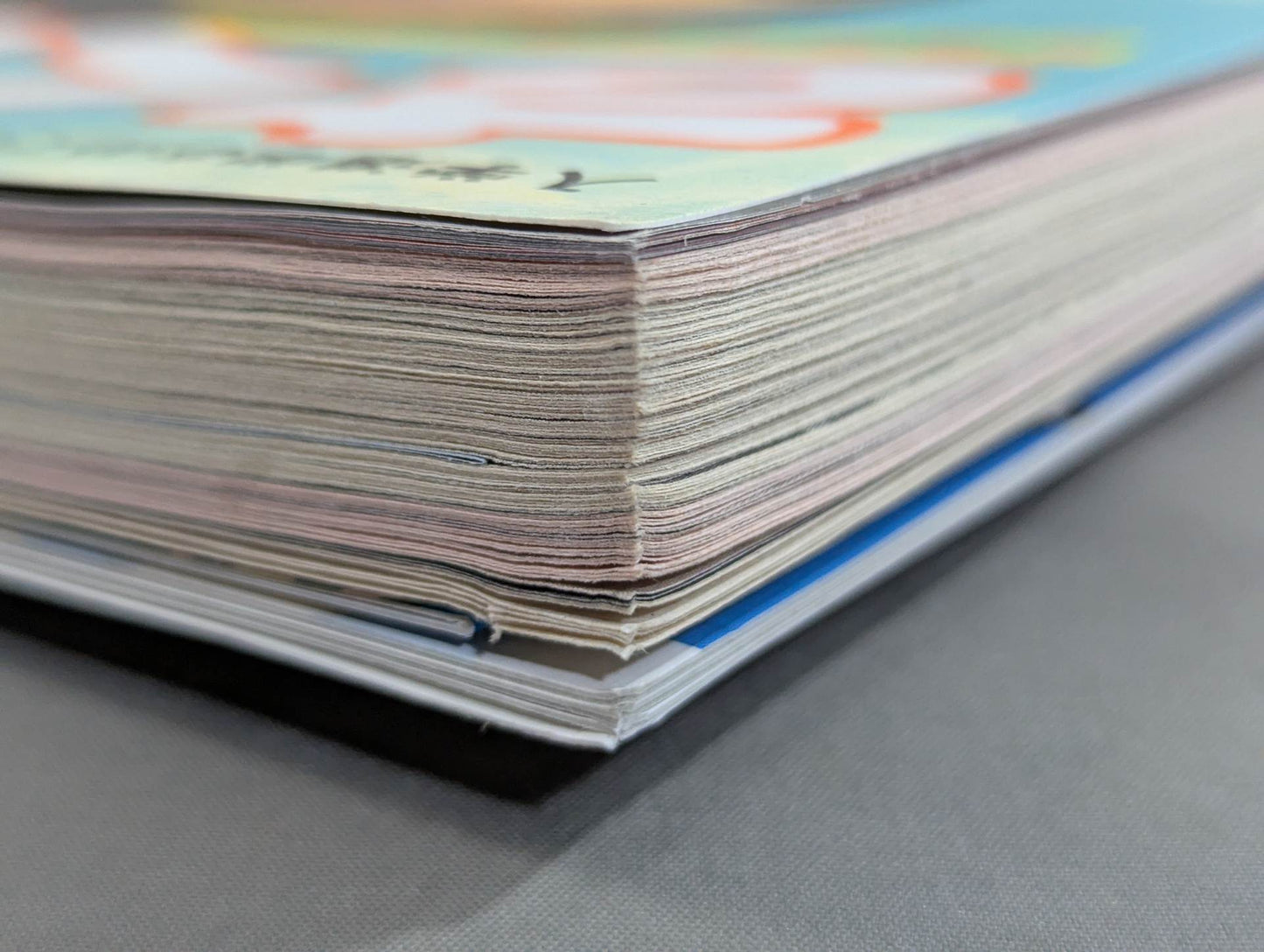 Sakurabon Kazushi Sakuraba Official Magazine