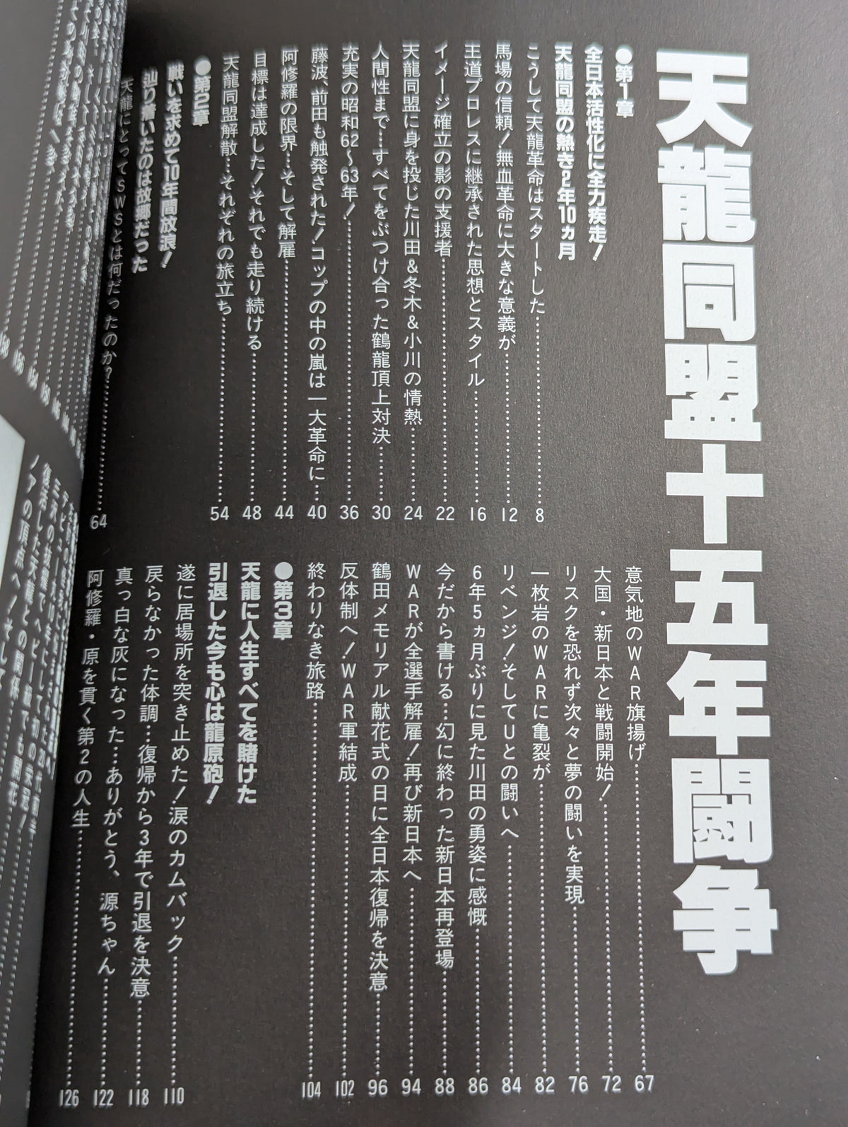 Tenryu Alliance Fifteen Years Struggle