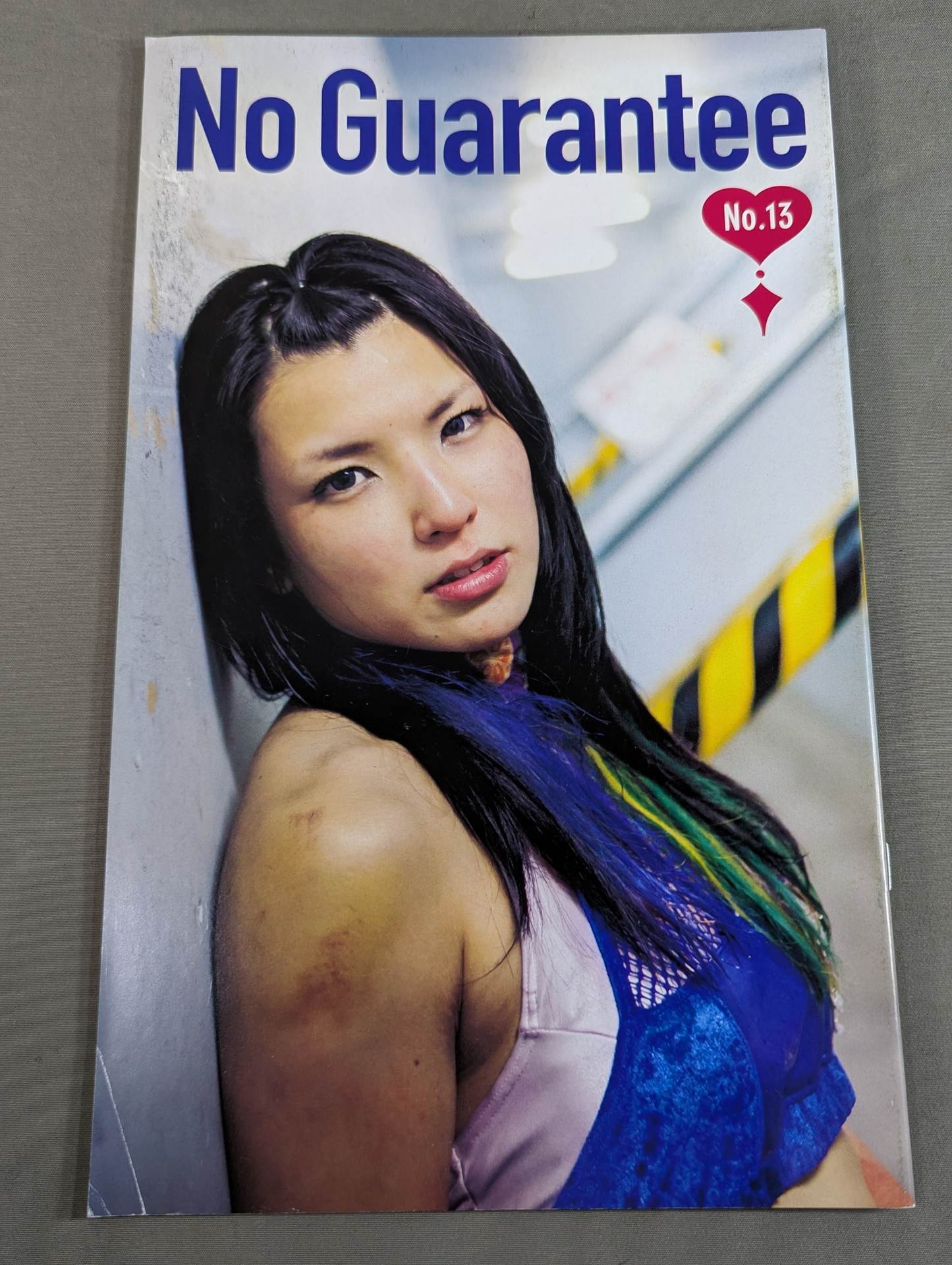 No Guarantee Vol.13