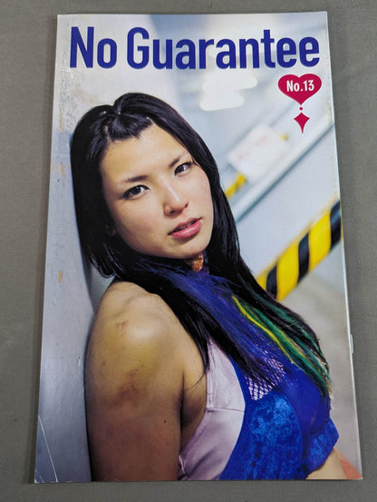 No Guarantee Vol.13