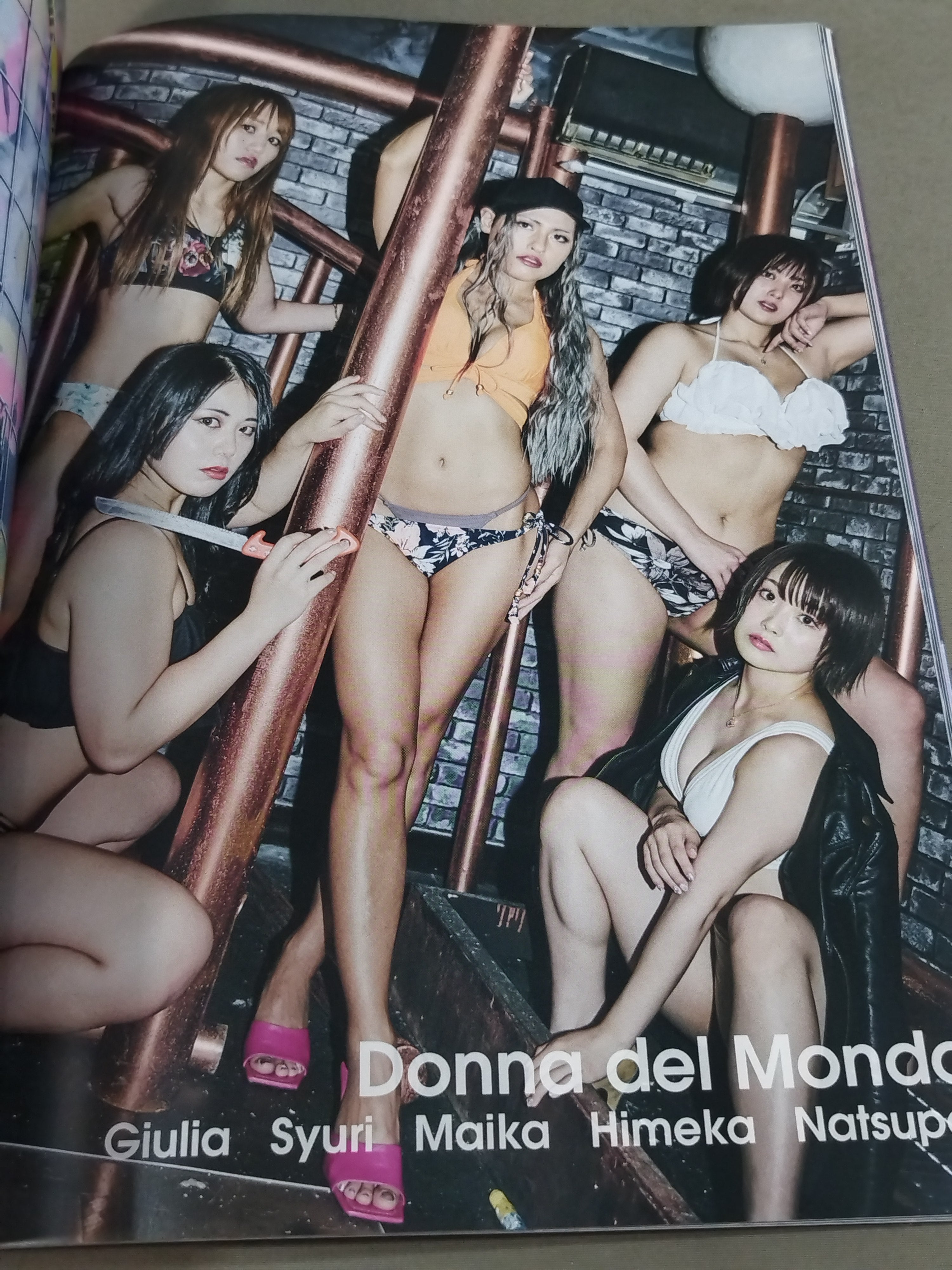 なつぽい 直筆サイン入り】STARDOM VISUAL BOOK Bikiniing 10 – 闘道館