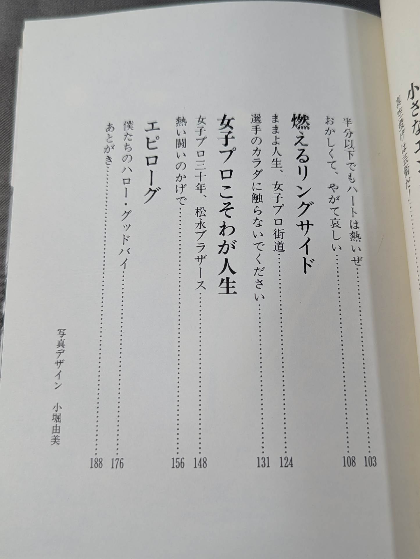 女子プロレス・ララバイ