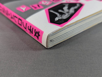 女子プロレス・ララバイ