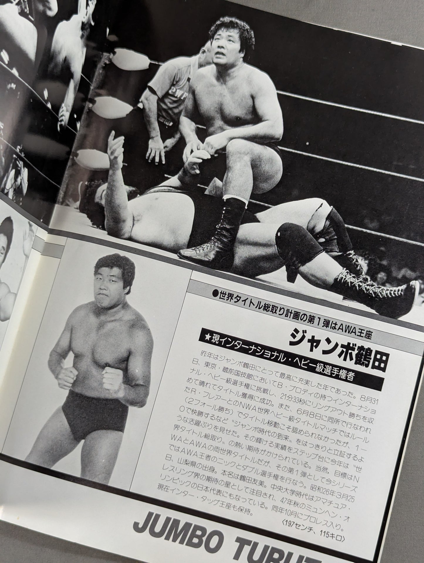 ★鶴田vsニック AWA＆インター戦★ 84エキサイト・シリーズ