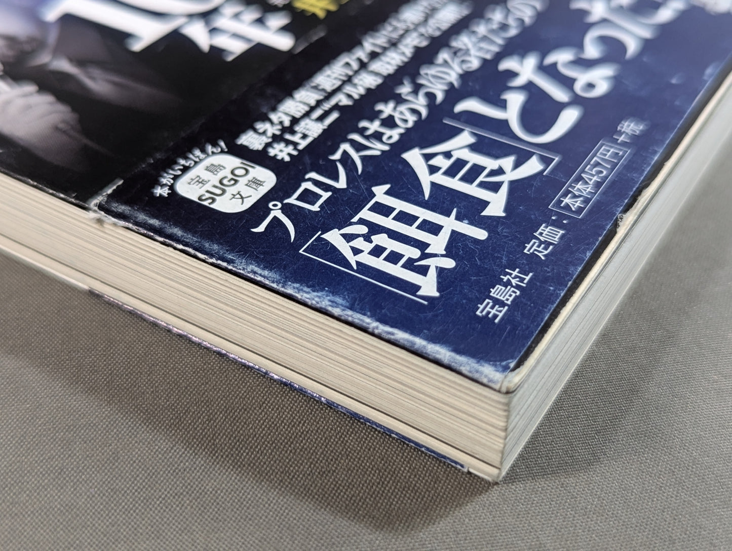 プロレス「暗黒」の10年  検証・「歴史的失速」はなぜ起きたのか