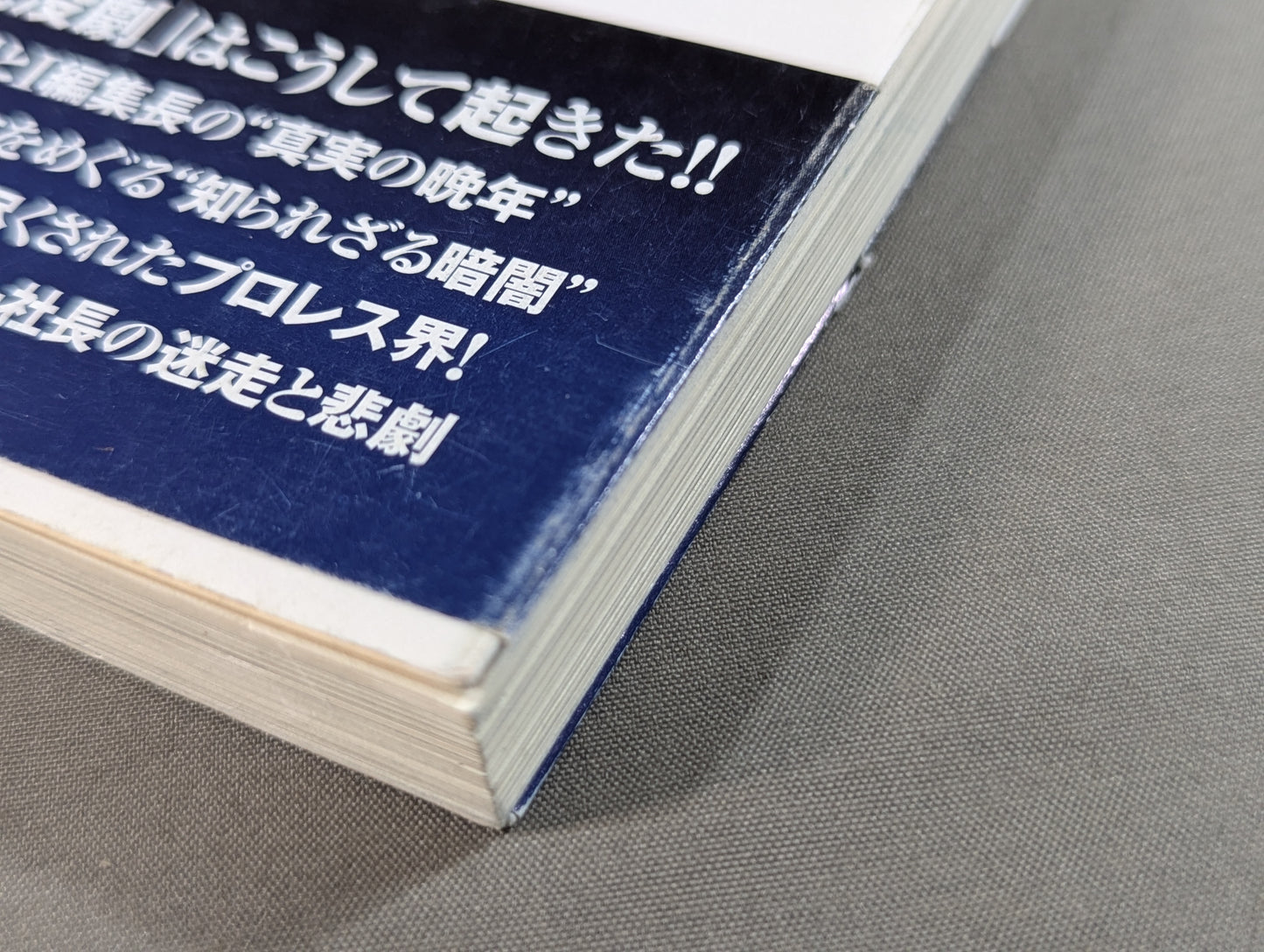プロレス「暗黒」の10年  検証・「歴史的失速」はなぜ起きたのか