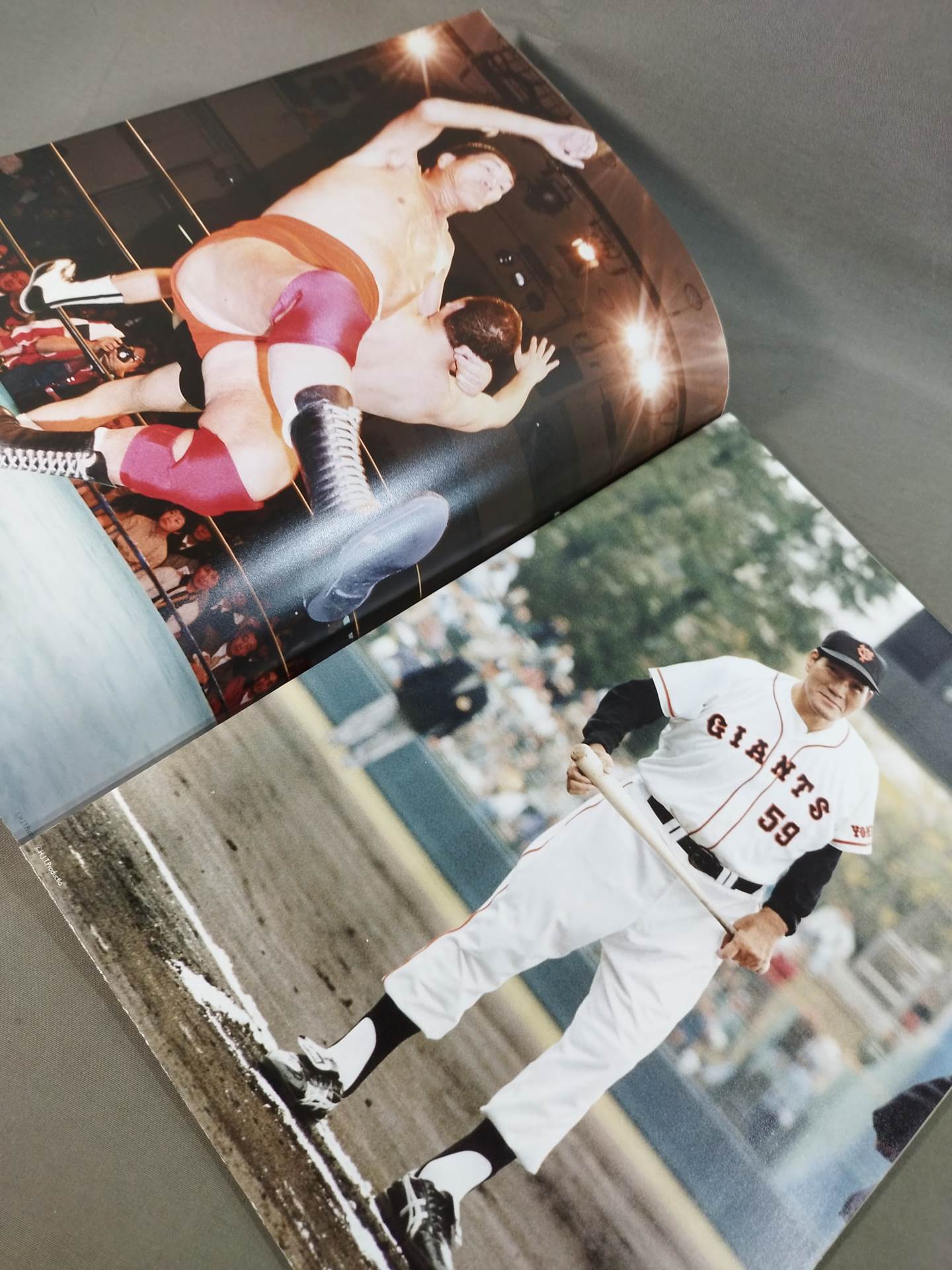 Giant Baba 20th Memorial A1 Poster Magazine
