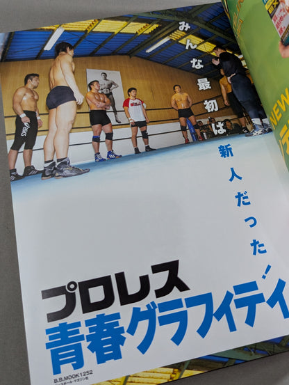 Pro Wrestling  Youth Graffiti