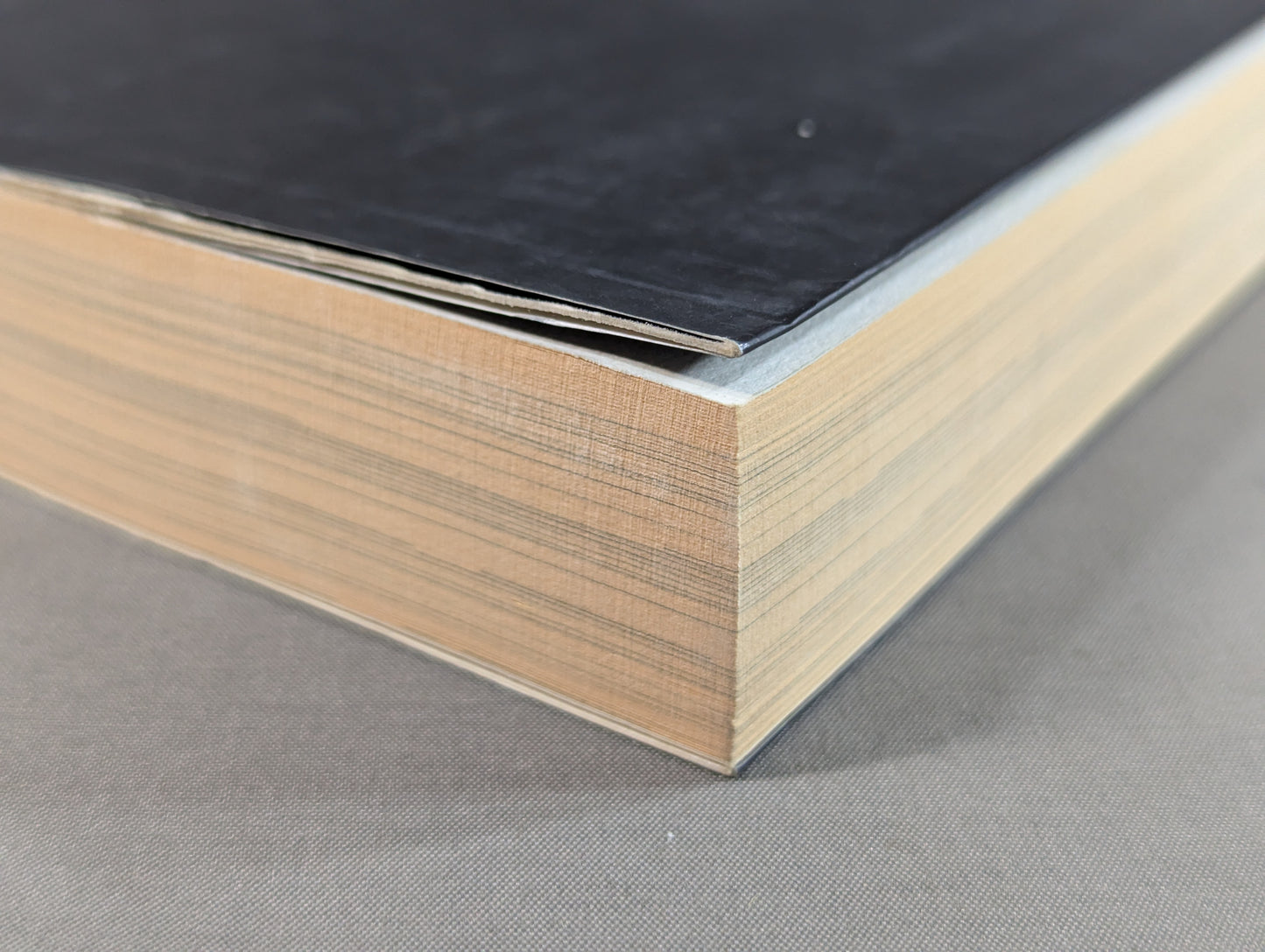 烈闘生 傷だらけの履歴書