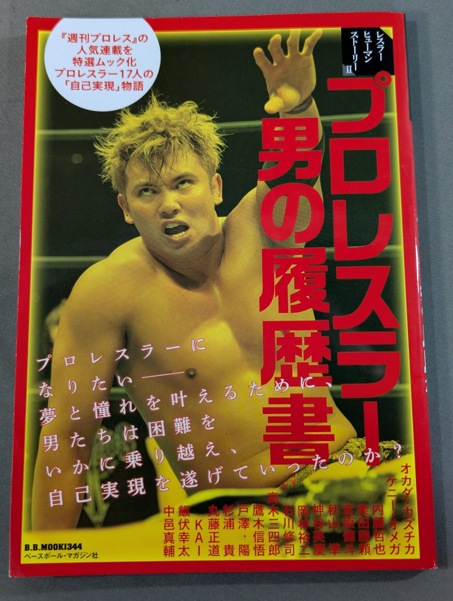 Resume of a pro wrestler man